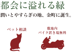 �s��ɂ��ӂ���